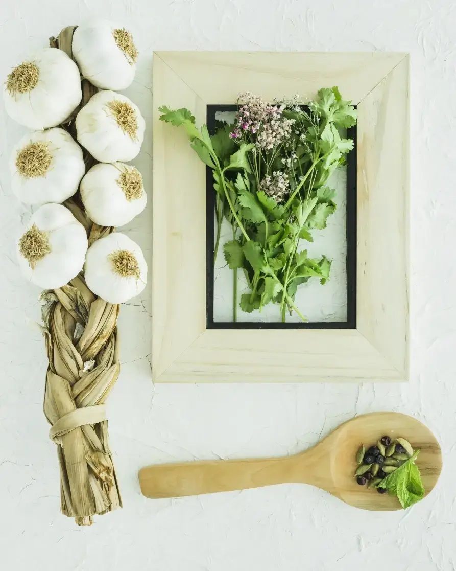 Fresh garlic and herbs on a light stone background